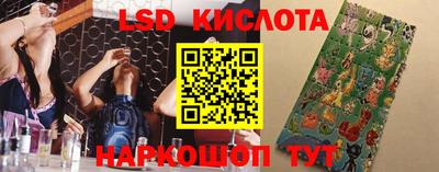 мяу мяу мука Будённовск
