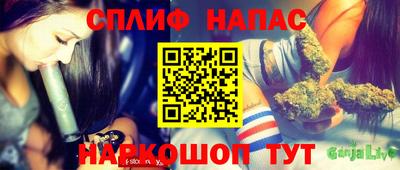 мяу мяу мука Будённовск
