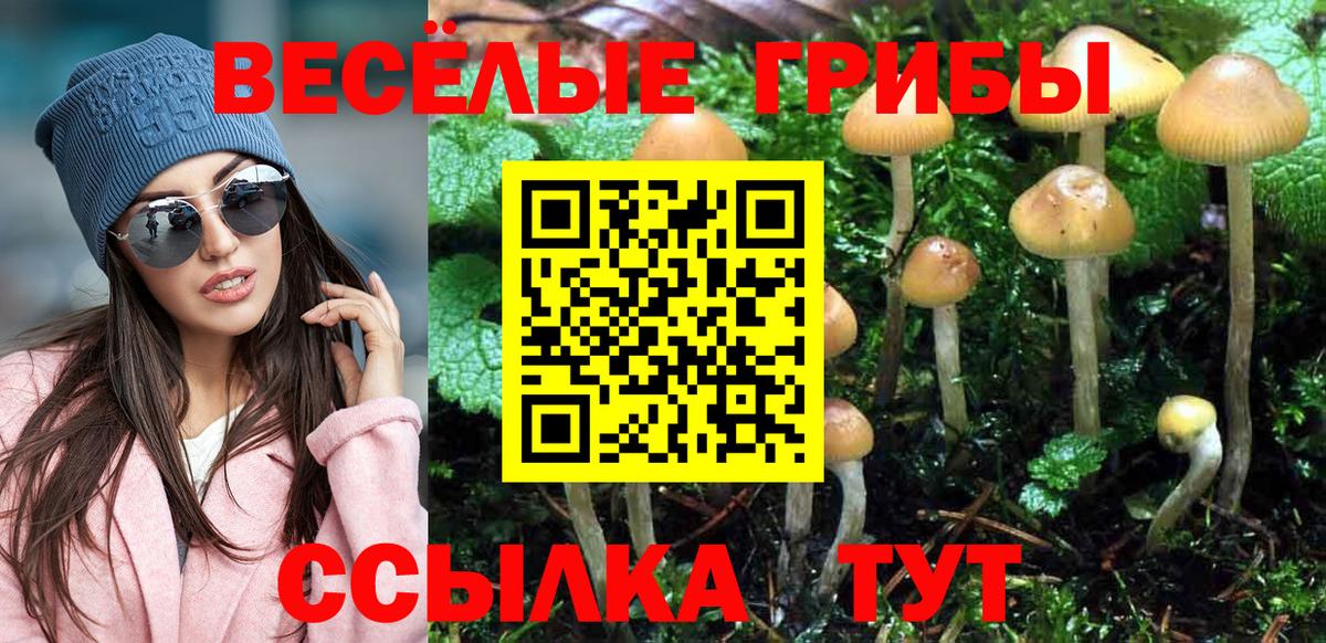 Петропавловск-Камчатский  сколько стоит  Вход с VPN  Галлюциногенные грибы MAGIC MUSHROOMS  Галлюциногенные грибы Cubensis 