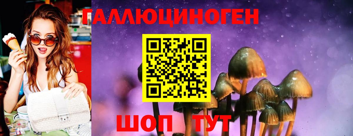 Галлюциногенные грибы Magic Shrooms Петропавловск-Камчатский